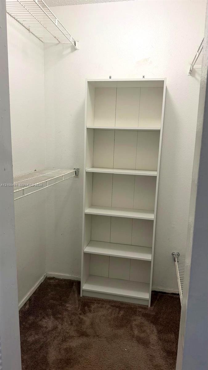 Walk-in storage space featuring built-in white shelving, wall-mounted wire racks, and carpeted flooring