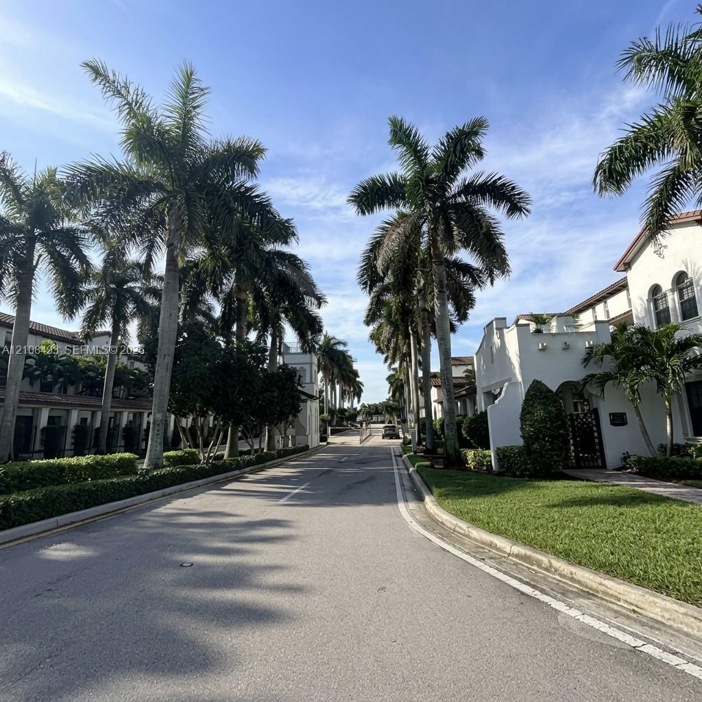 Paved thoroughfare lined with mature palm trees, manicured hedges, green lawns, and stucco building exteriors featuring arched windows