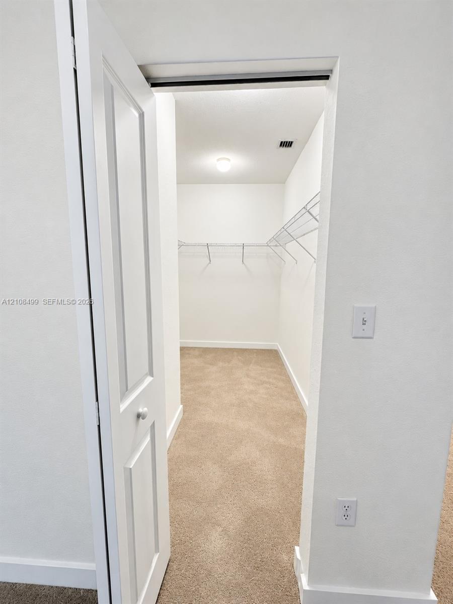 Walk-in storage space featuring wall-to-wall carpeting and integrated wire shelving