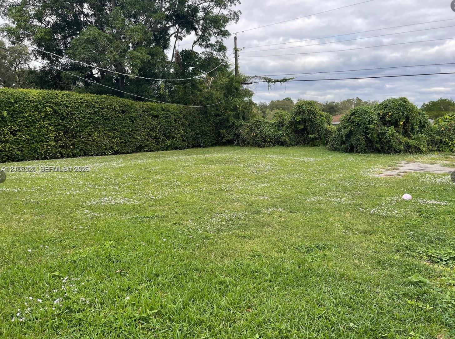 Expansive backyard featuring an open lawn and mature perimeter hedging Expansive backyard featuring an open lawn and mature perimeter hedging
