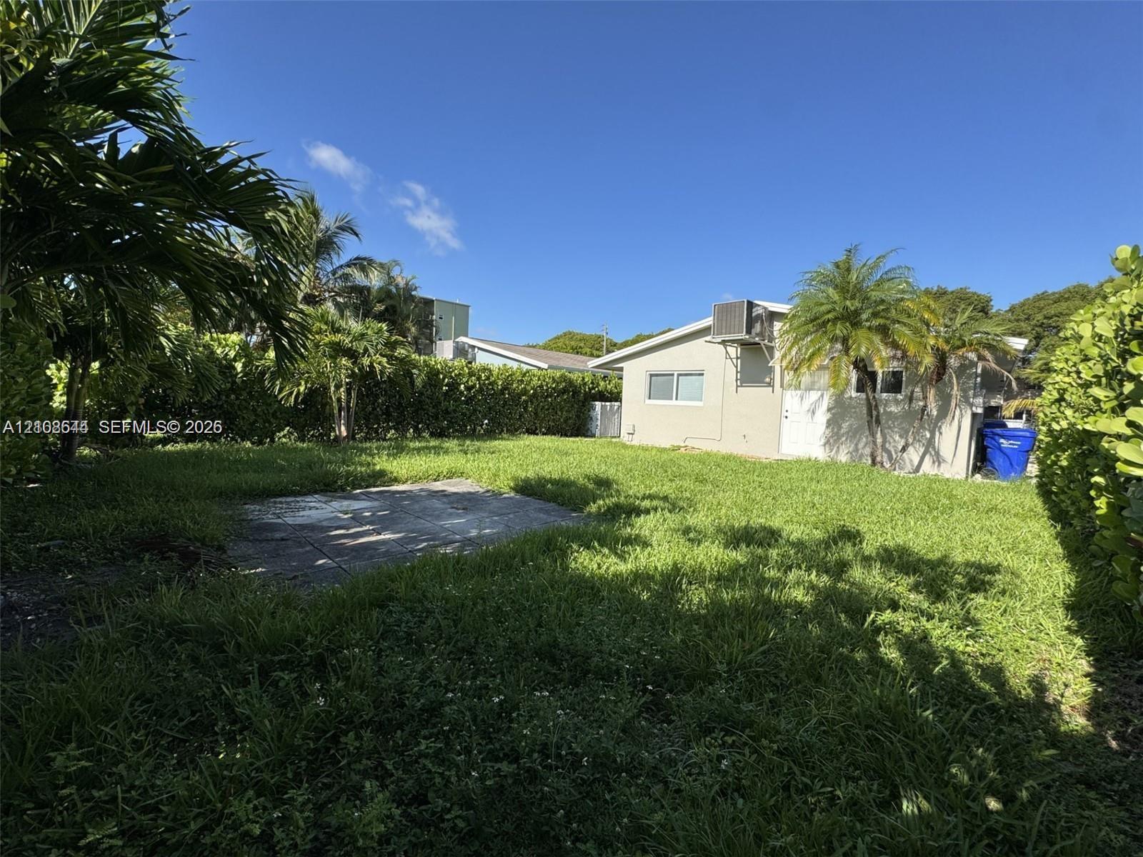 Private backyard featuring a concrete patio, perimeter hedges, and mature palm trees