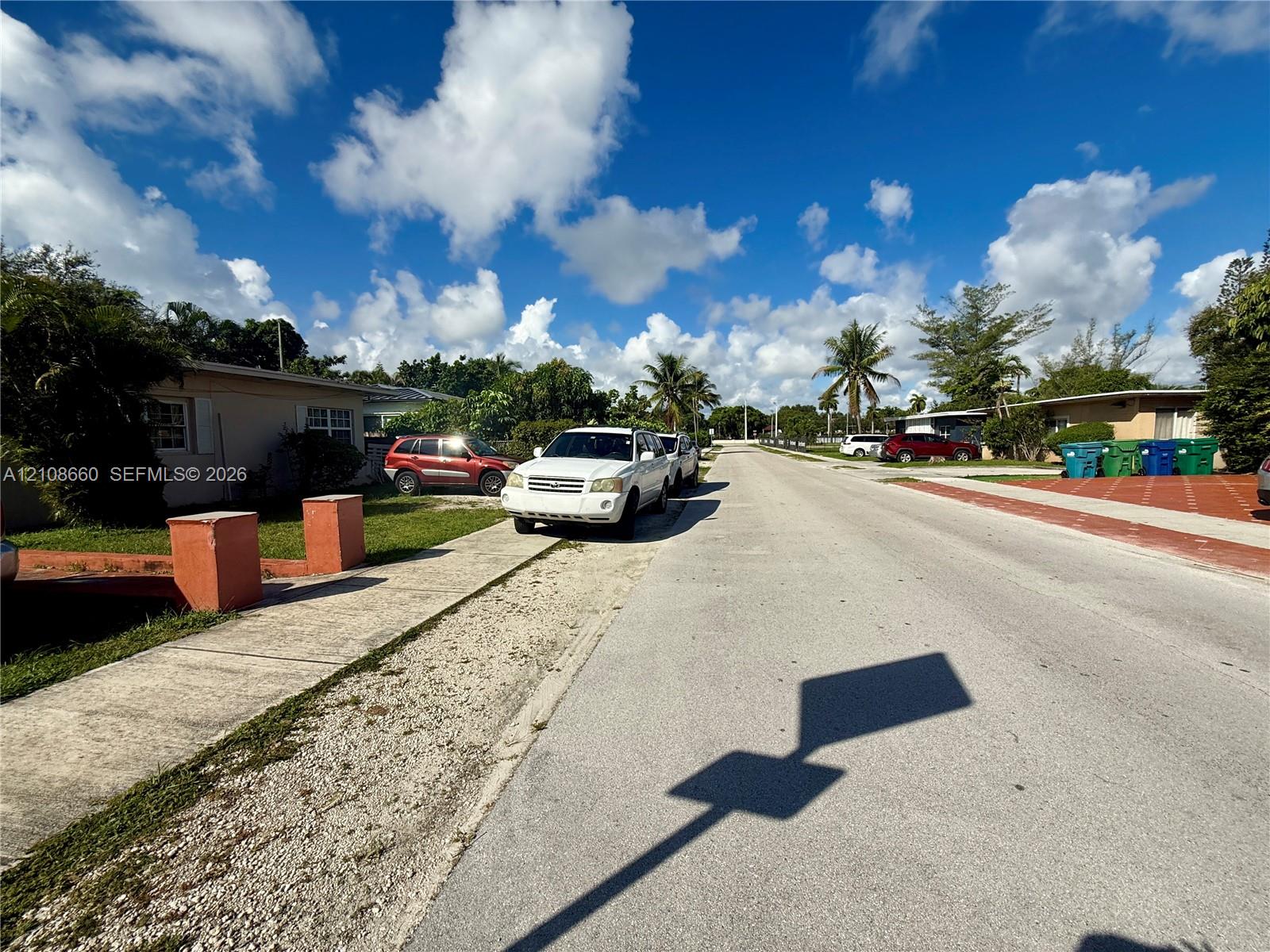 Concrete streetscape featuring established palm trees and sidewalk infrastructure
