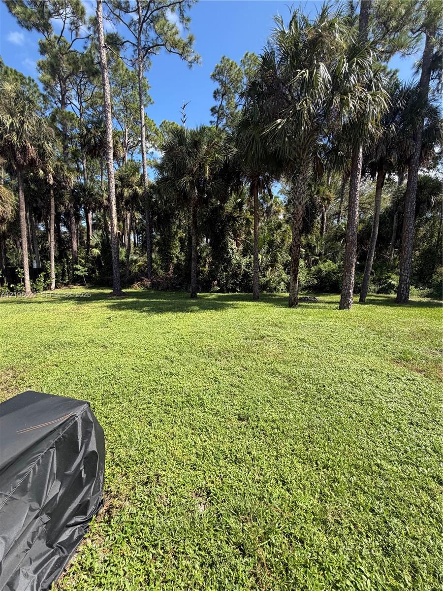 Expansive outdoor area featuring a maintained grass lawn and mature palm trees