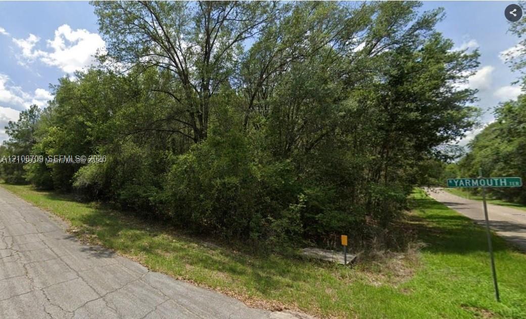 Corner lot featuring mature trees and established natural vegetation