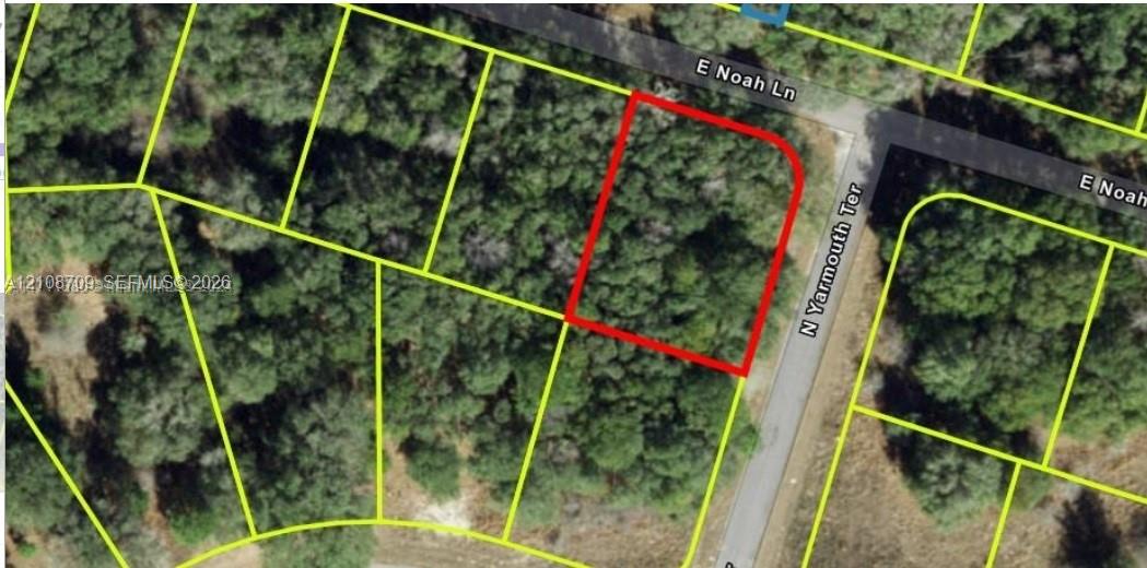 Tax Map, Plat Overview. Displaying the boundaries and parcel lines of the property