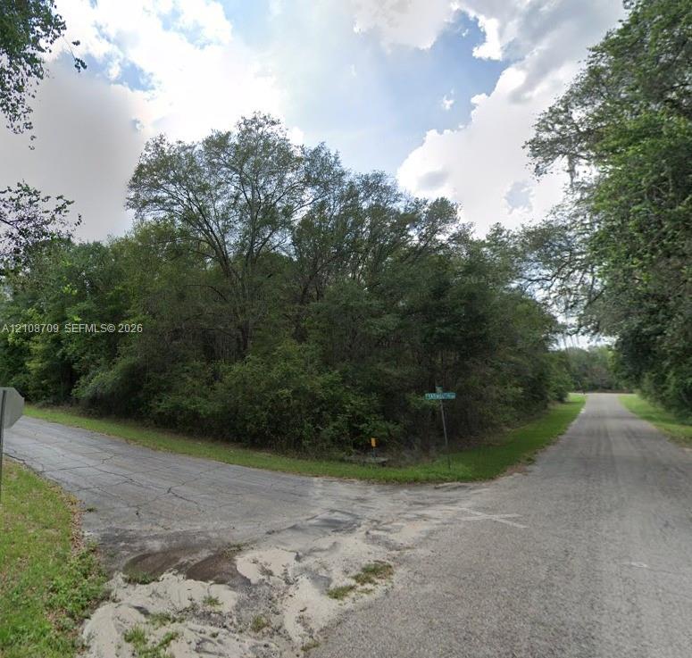 Corner lot featuring mature trees and established natural vegetation