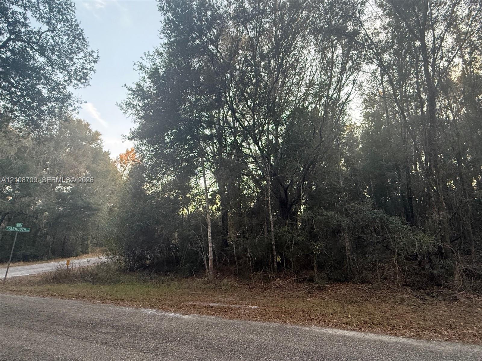 Vacant land parcel featuring mature hardwood trees and paved road frontage