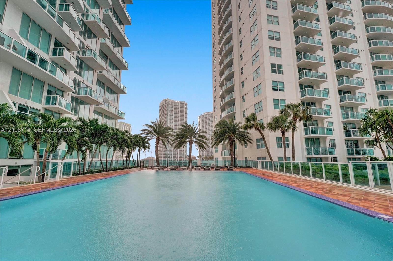 Rectangular swimming pool featuring tile coping, a terra-cotta paver surround, glass panel perimeter fencing, and mature palm trees