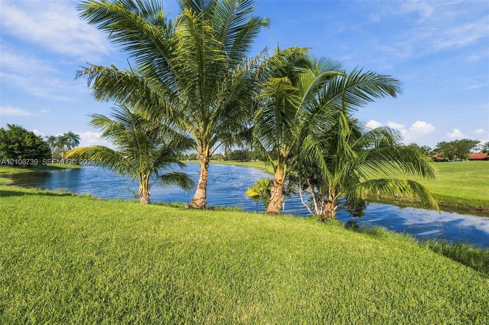 Waterfront property featuring a manicured lawn, palm trees, and a pond