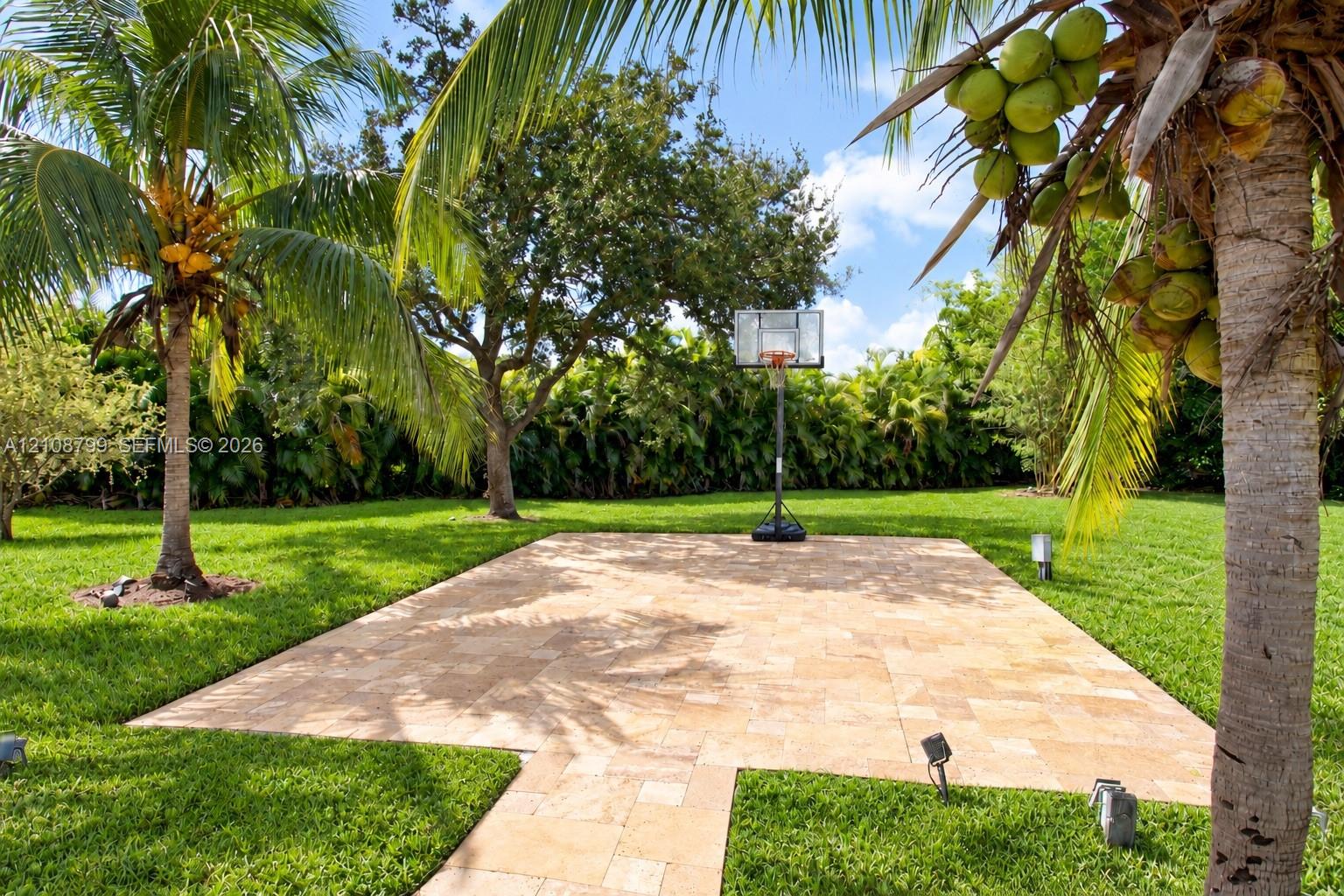 Basketball court