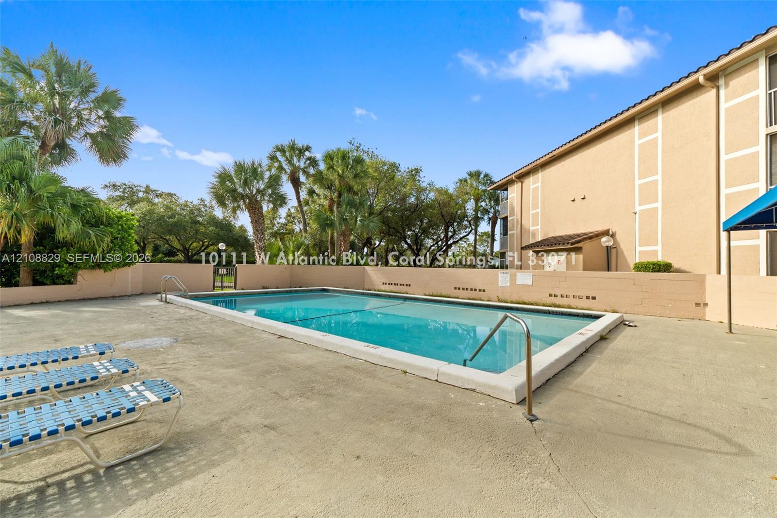 In-ground swimming pool featuring a concrete deck and perimeter masonry wall, surrounded by mature palm trees