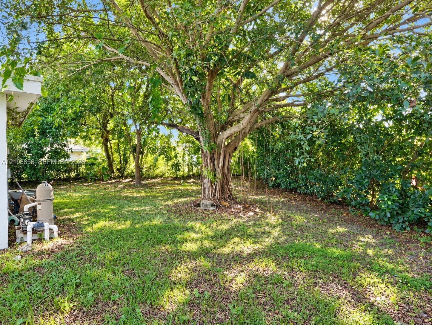 Backyard area featuring mature canopy trees, established hedge greenery, and a pool equipment filtration system