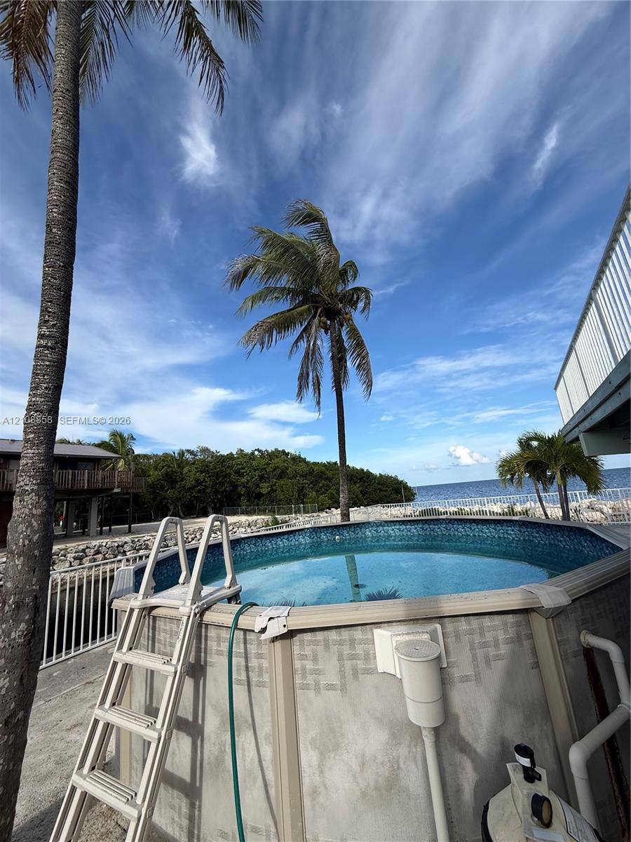 Above-ground pool with a metal ladder and exterior filtration system, situated within a coastal landscape featuring palm trees and direct water frontage