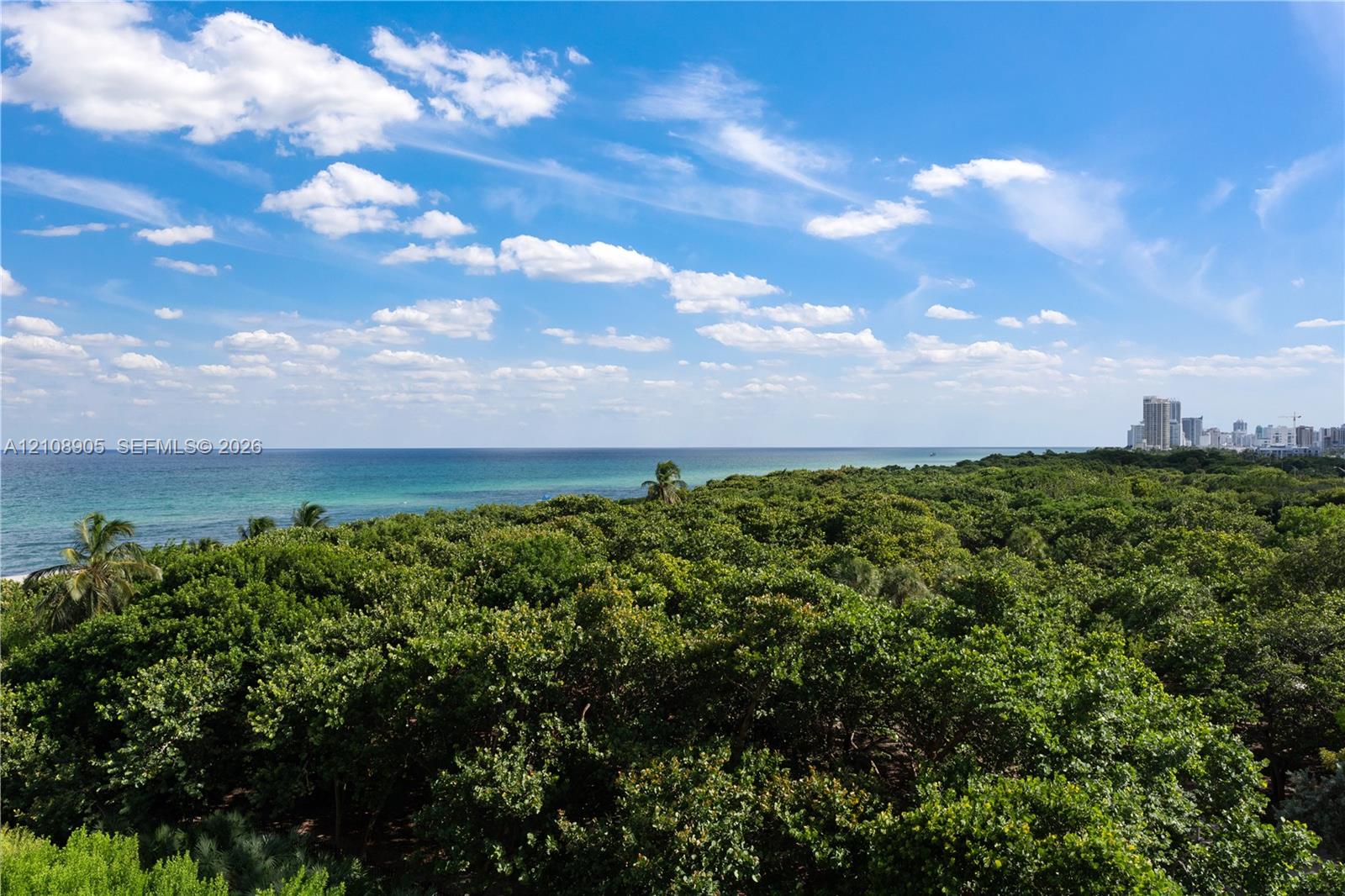 Expansive ocean horizon, dense coastal tree canopy, and distant urban skyline