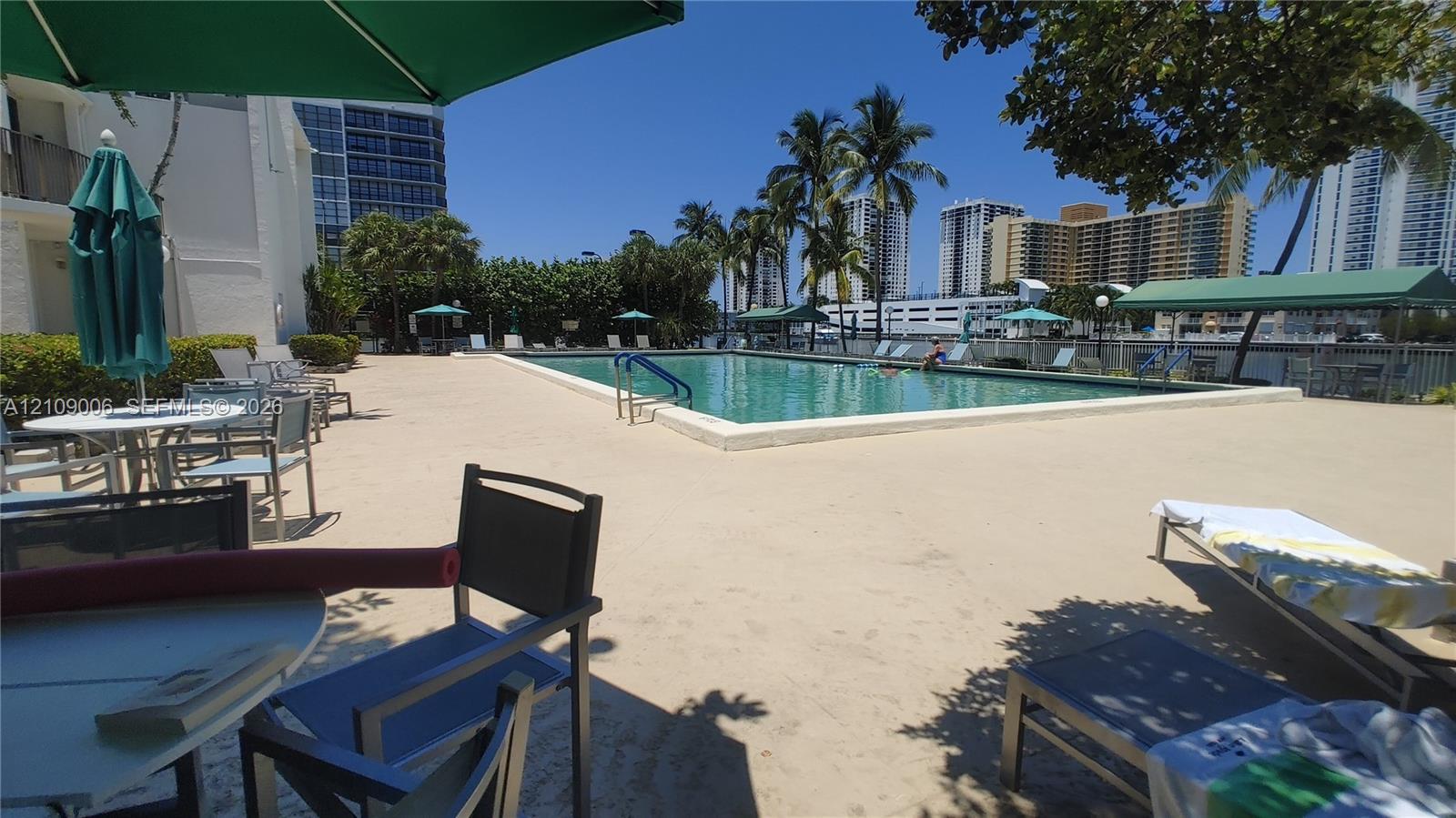 Rectangular swimming pool featuring a concrete deck, metal handrails, and mature palm trees