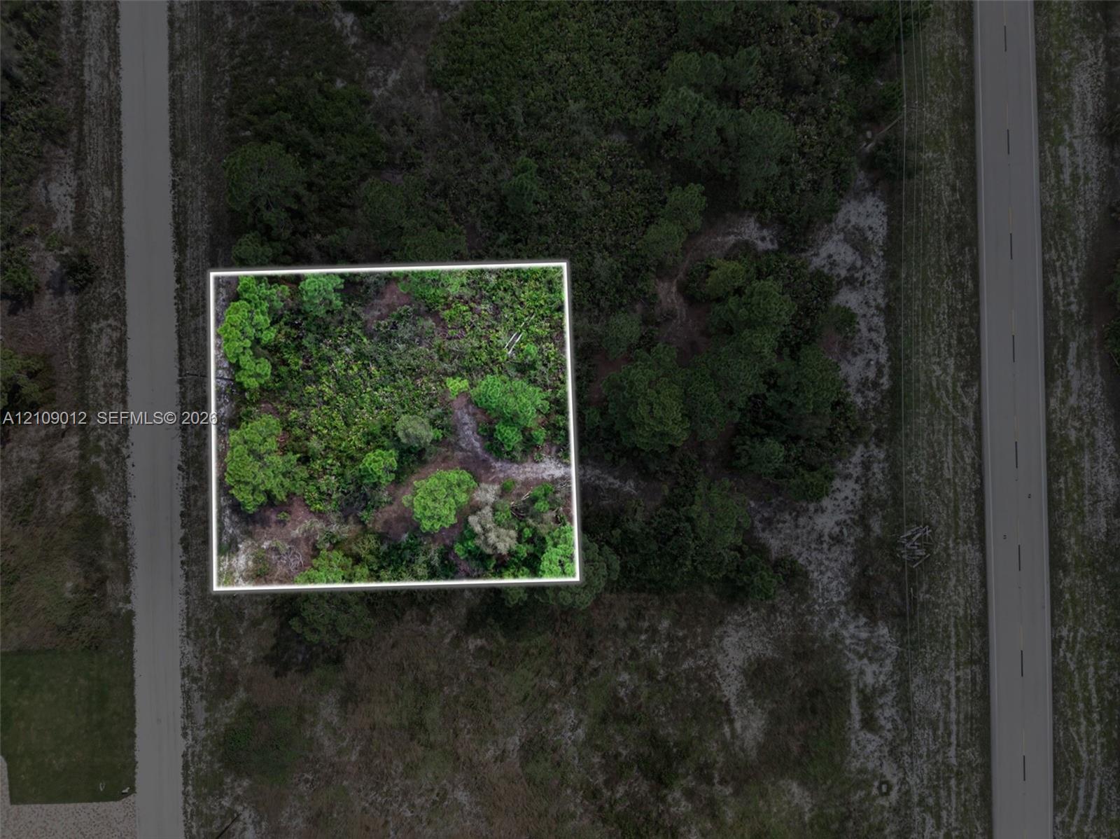 Rectangular parcel featuring native vegetation and mature trees