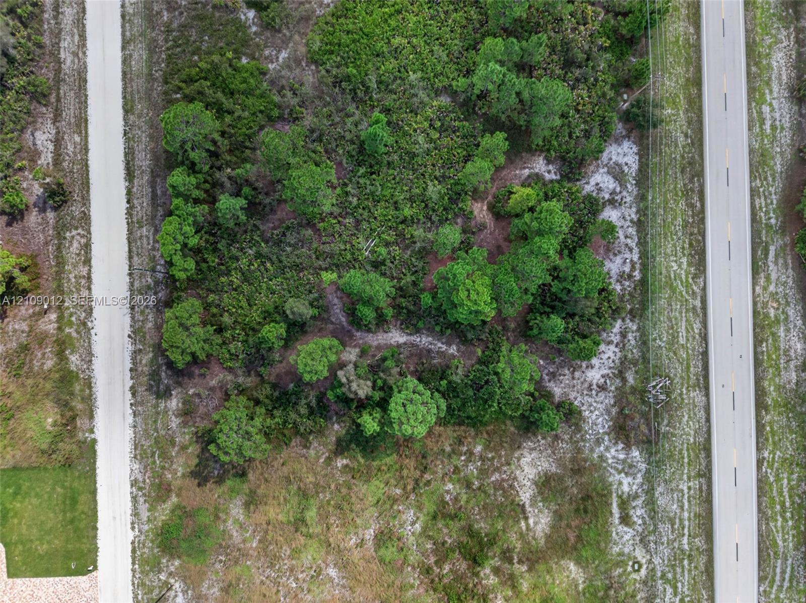 Aerial perspective of a vacant lot featuring native vegetation, mature trees, and dual-road frontage