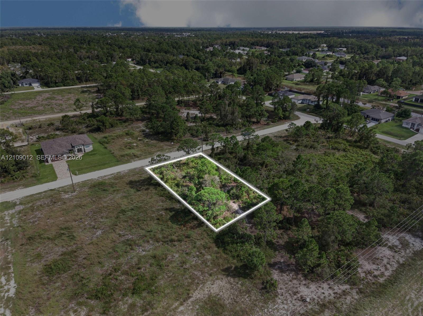 Vacant lot featuring native vegetation, pine trees, and direct paved road frontage