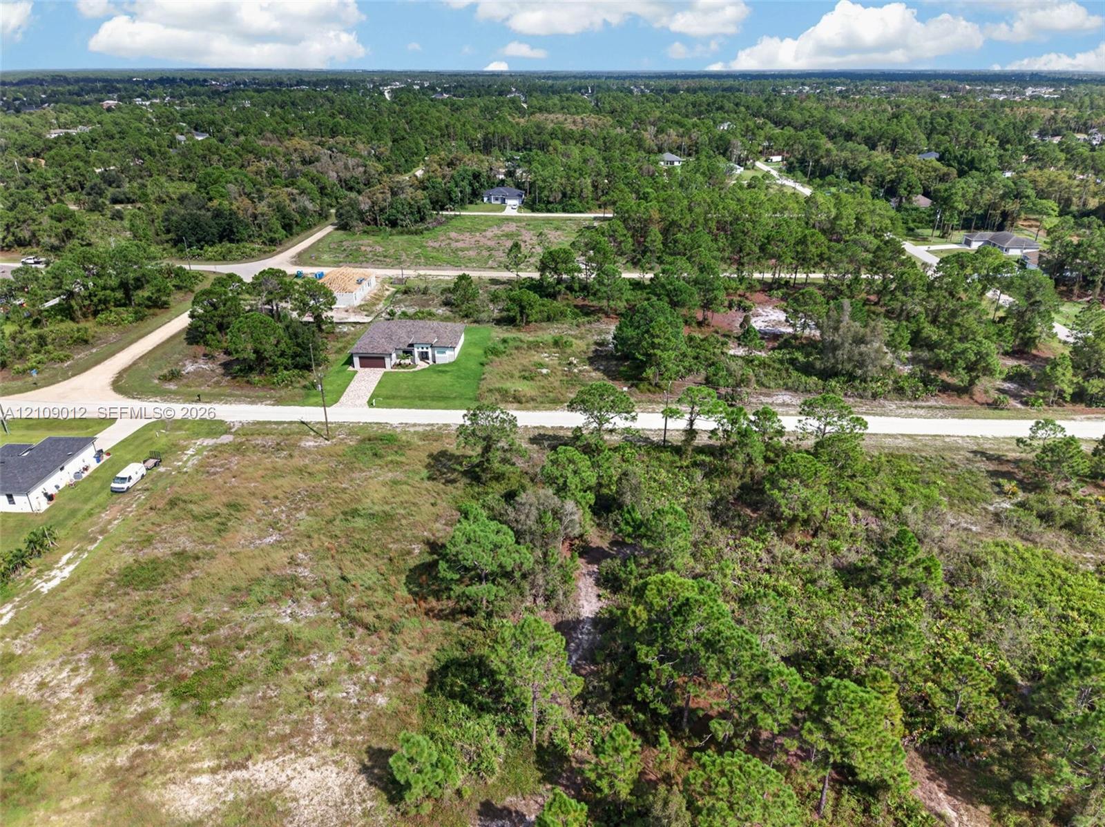 Aerial perspective of a vacant lot featuring natural vegetation, native pine trees, and paved road access
