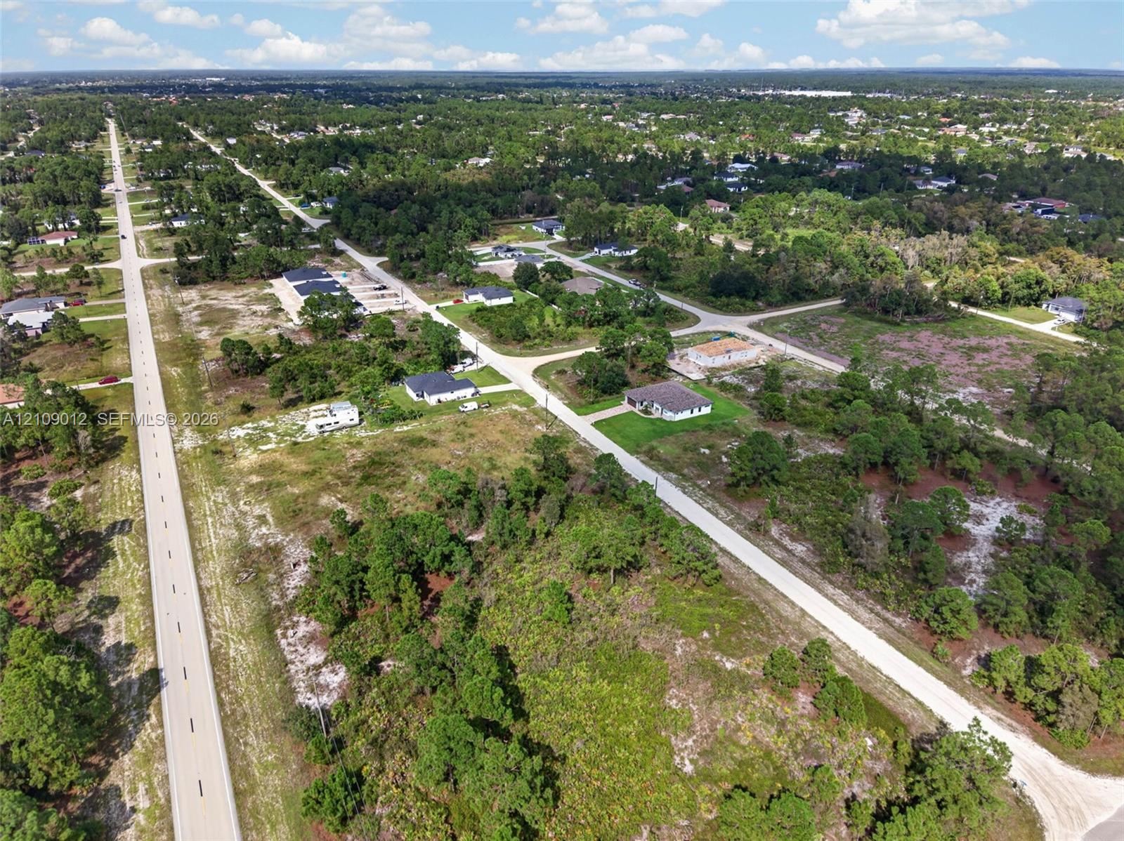 Aerial perspective of a sprawling corner lot featuring native vegetation, established pine tree clusters, and direct paved road access