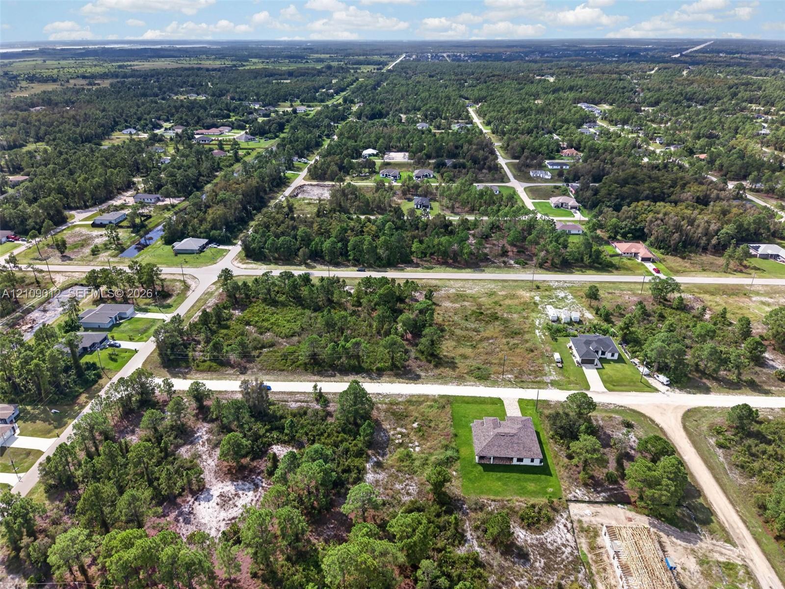 Aerial perspective of a multi-acre parcel featuring native vegetation, established pine trees, and a concrete driveway leading to a single-story structure with a hipped roof