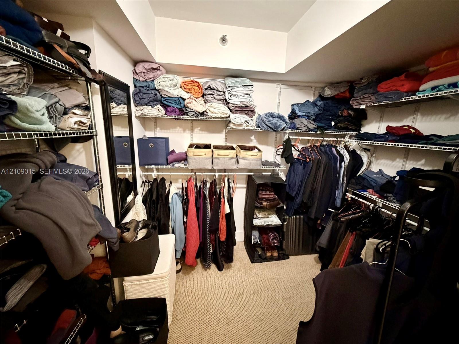 Walk-in storage space featuring multi-level wire shelving and carpeted flooring
