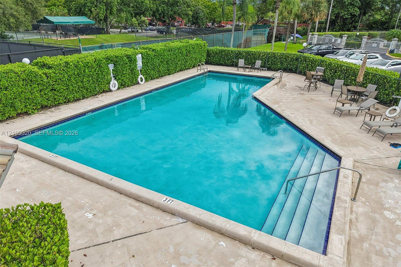 In-ground swimming pool with integrated stair entry, light-colored concrete decking, and perimeter privacy hedges