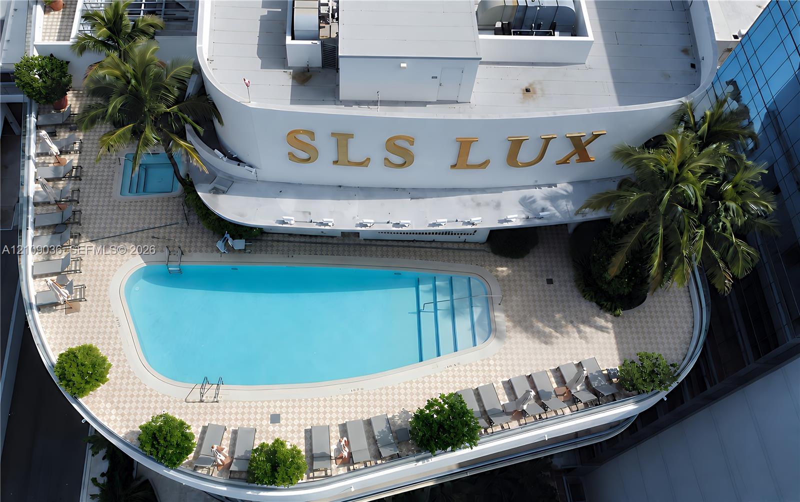 Rooftop terrace featuring an in-ground swimming pool, separate spa, tiled decking, and mature palm trees
