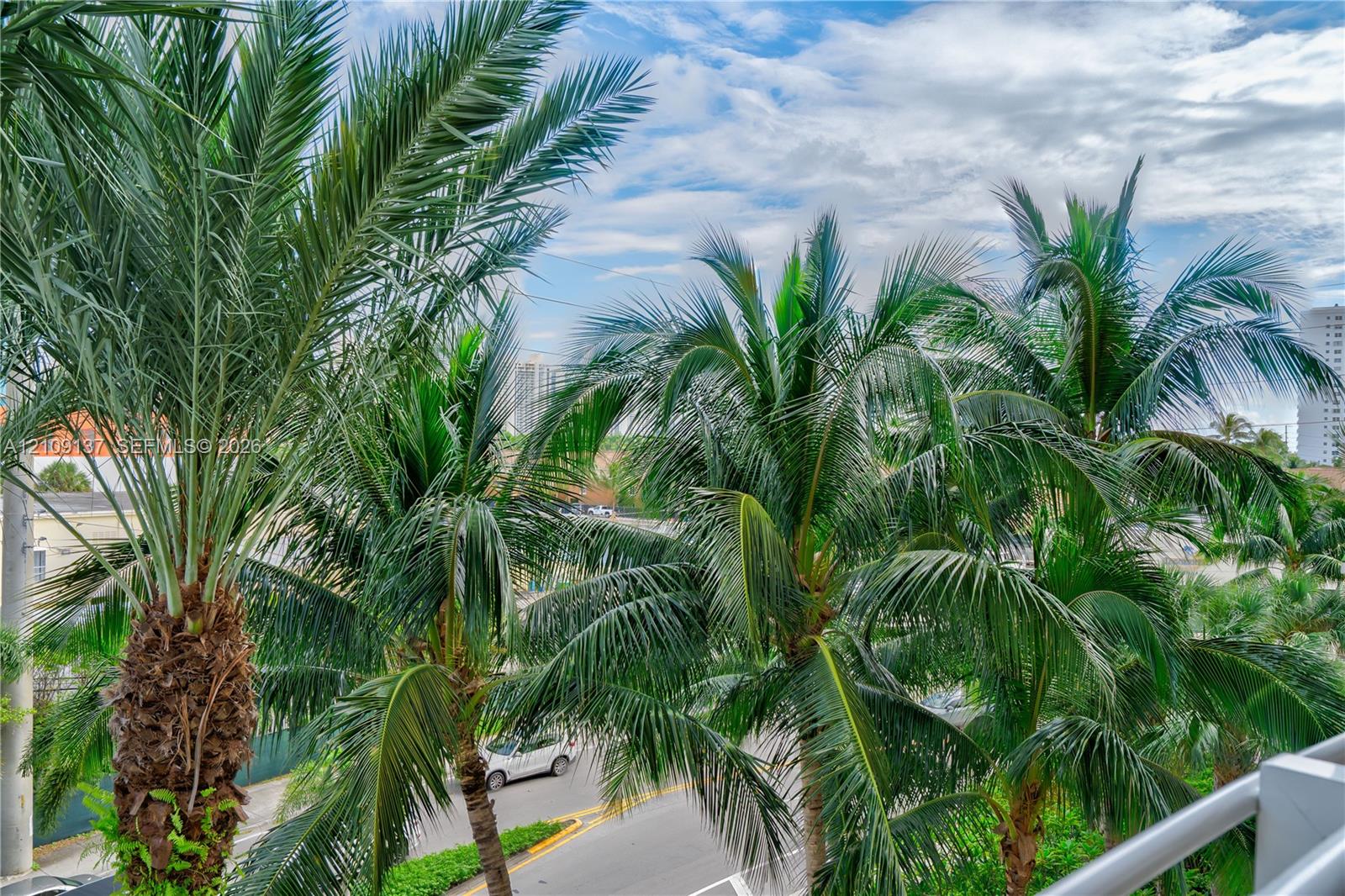 Outdoor balcony space featuring metal railing and mature palm trees