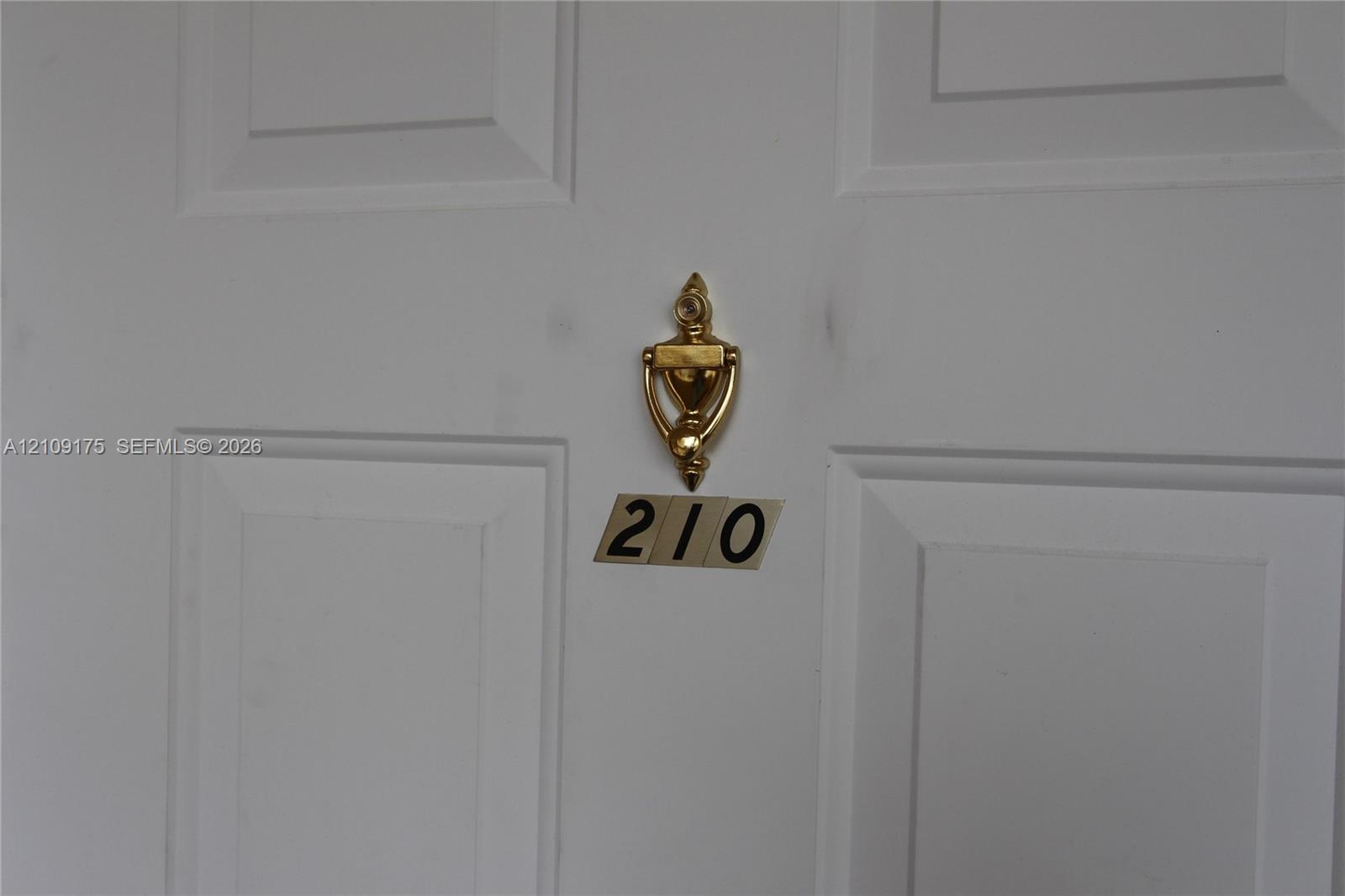White four-panel door featuring a polished brass-tone door knocker
