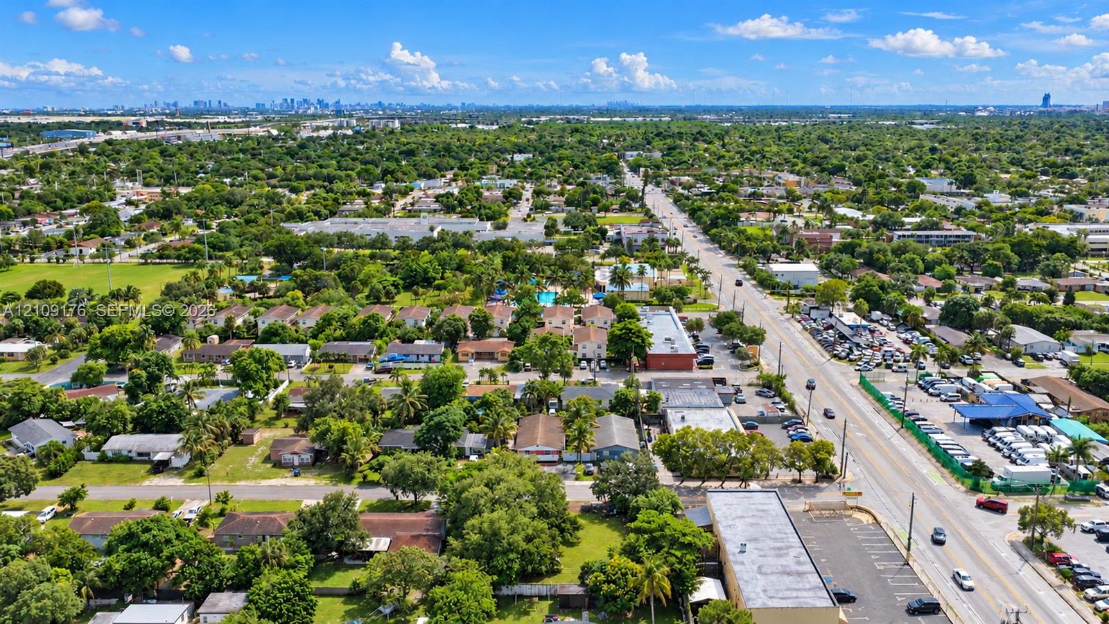 Aerial perspective of a suburban landscape featuring mature canopy trees, residential dwellings, and a distant city skyline