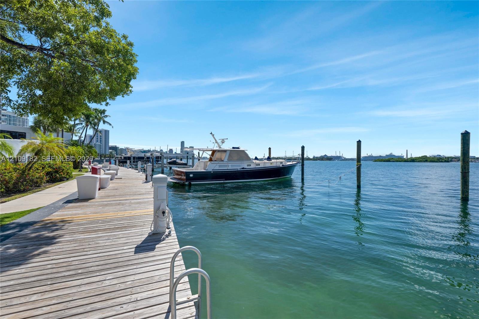 Deep-water dock with wooden decking and mooring pilings, bordered by a concrete walkway and palm trees