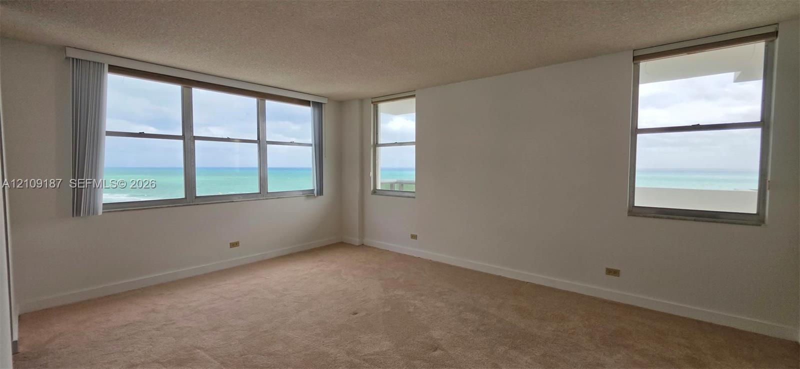 Floor-to-ceiling glass sliding doors to balcony and direct front ocean view, wall-to-wall carpeting, and a custom vertical wood-slat accent wall