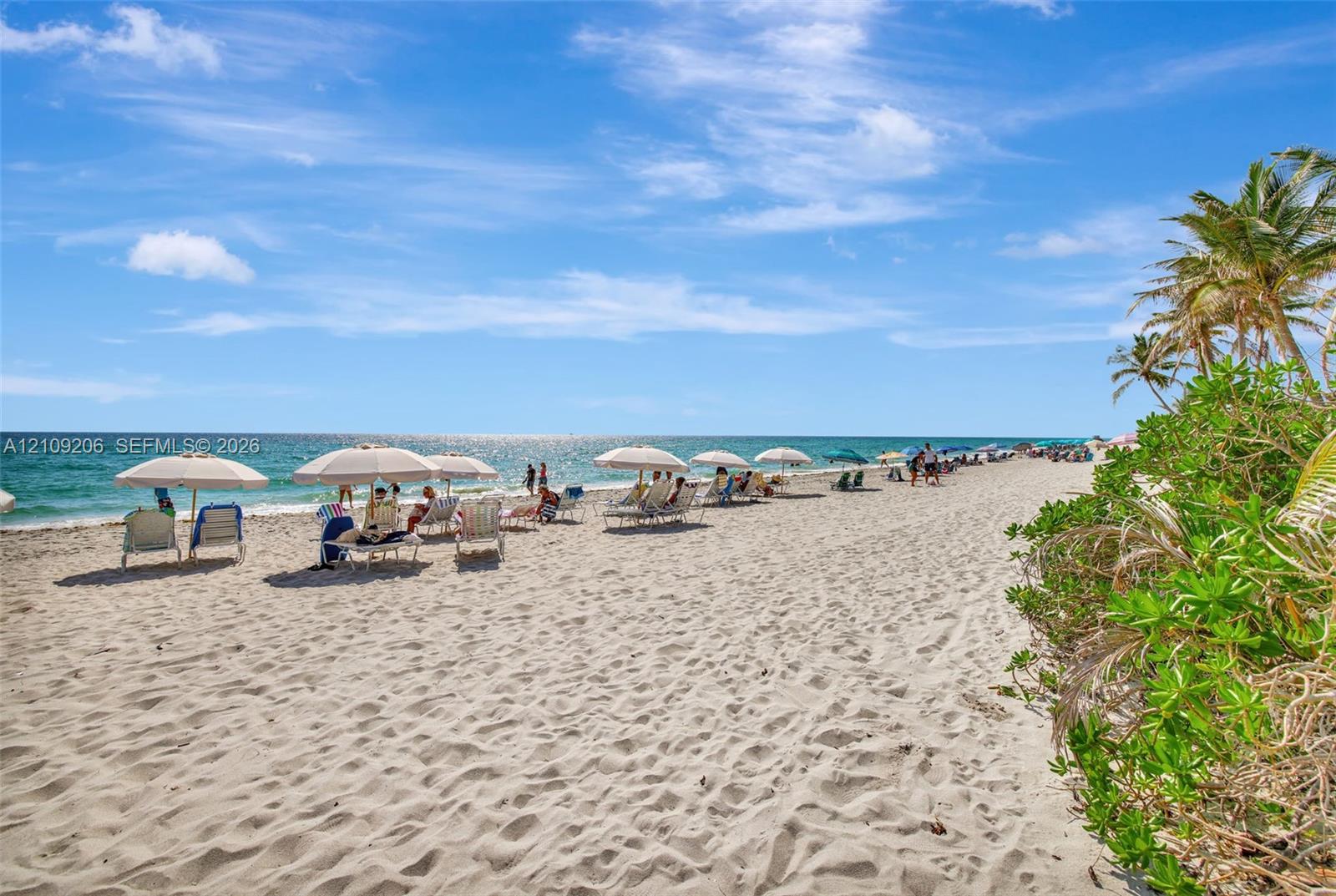 Direct oceanfront access featuring expansive sandy beach, coastal vegetation, and shoreline frontage
