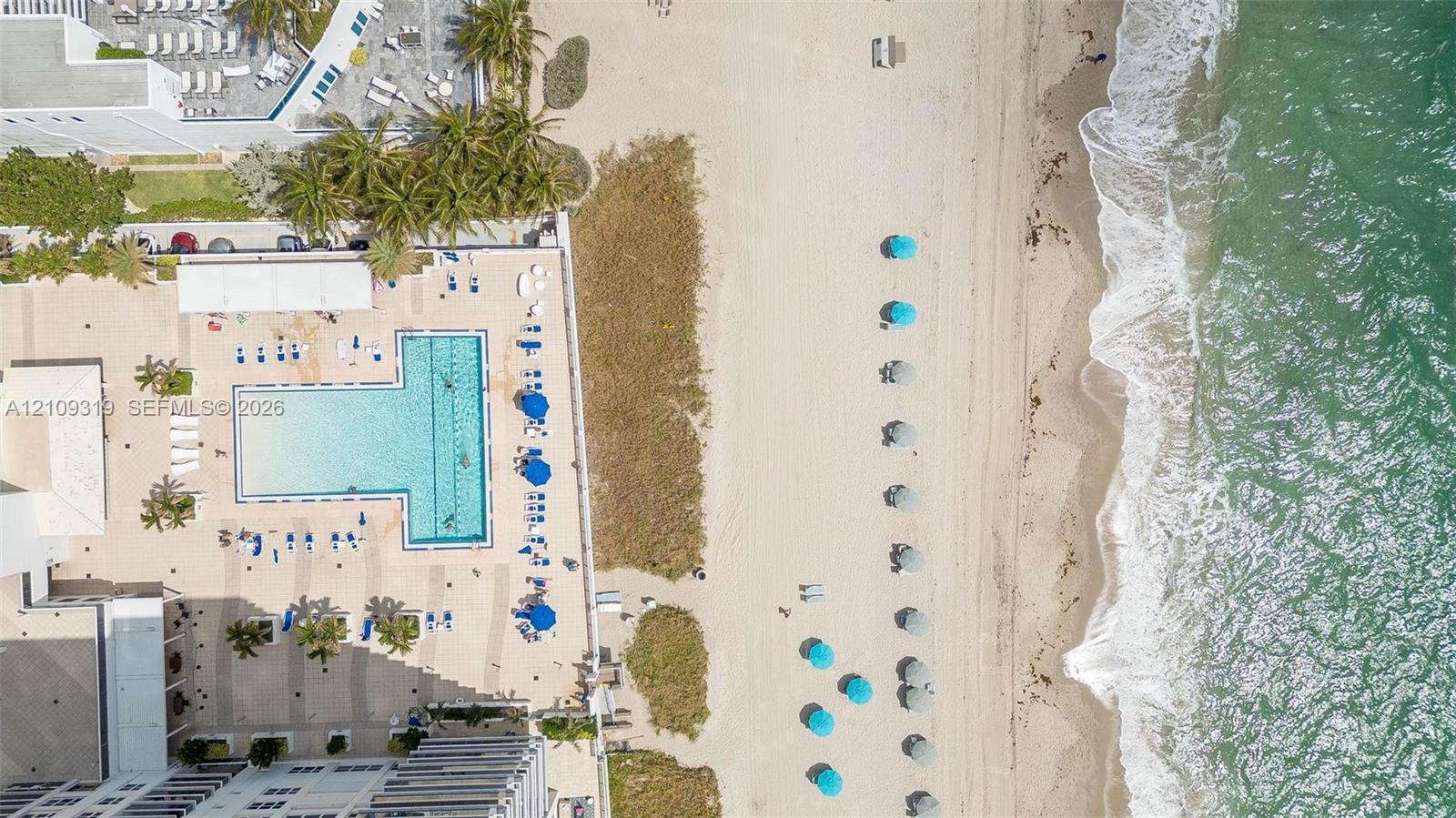 Aerial perspective featuring a direct beachfront location, T-shaped swimming pool, paved pool deck, and mature palm trees
