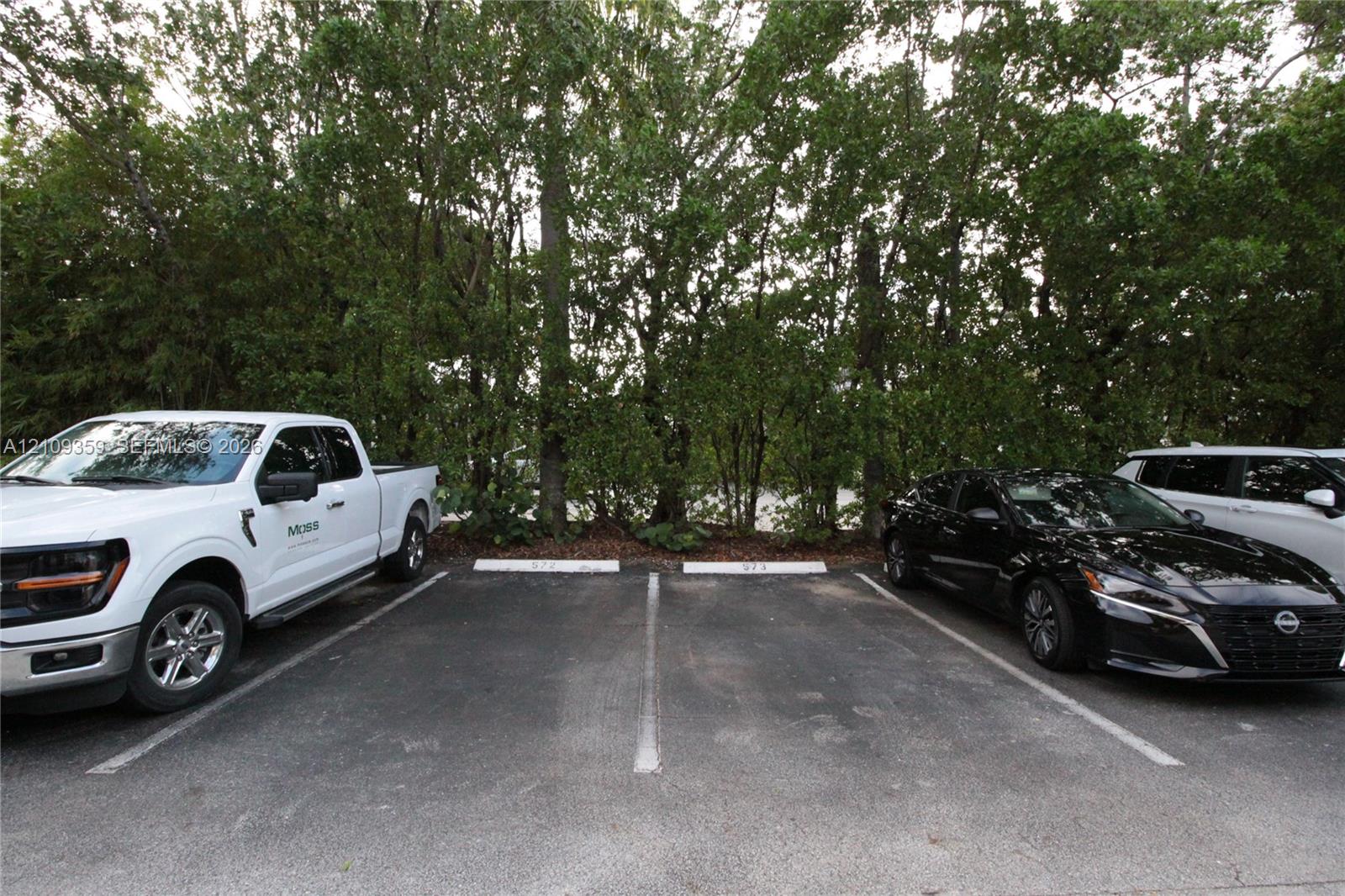 Asphalt parking area featuring two designated spaces and a perimeter of mature trees