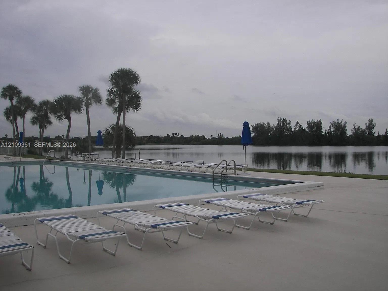 Inground swimming pool with metal ladder and concrete decking situated on a waterfront lot featuring mature palm trees