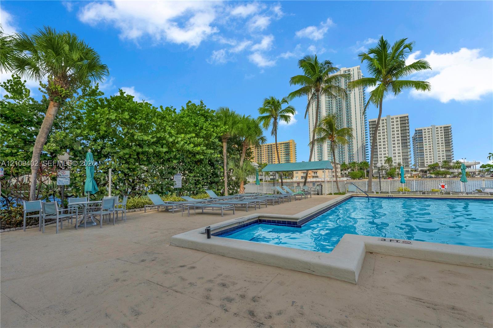 Swimming pool with tile edging and a concrete deck bordered by mature palm trees