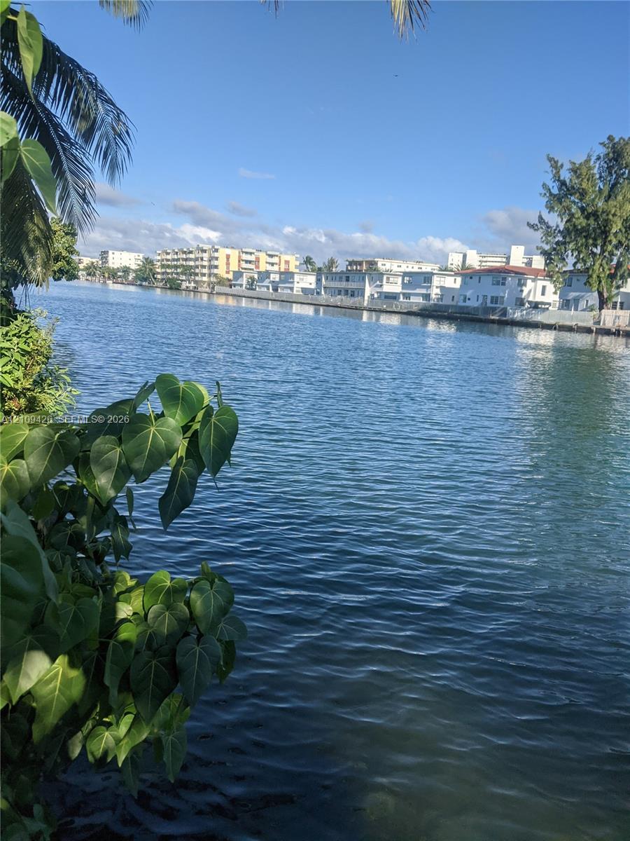 Waterfront setting featuring a canal, mature trees, and tropical foliage