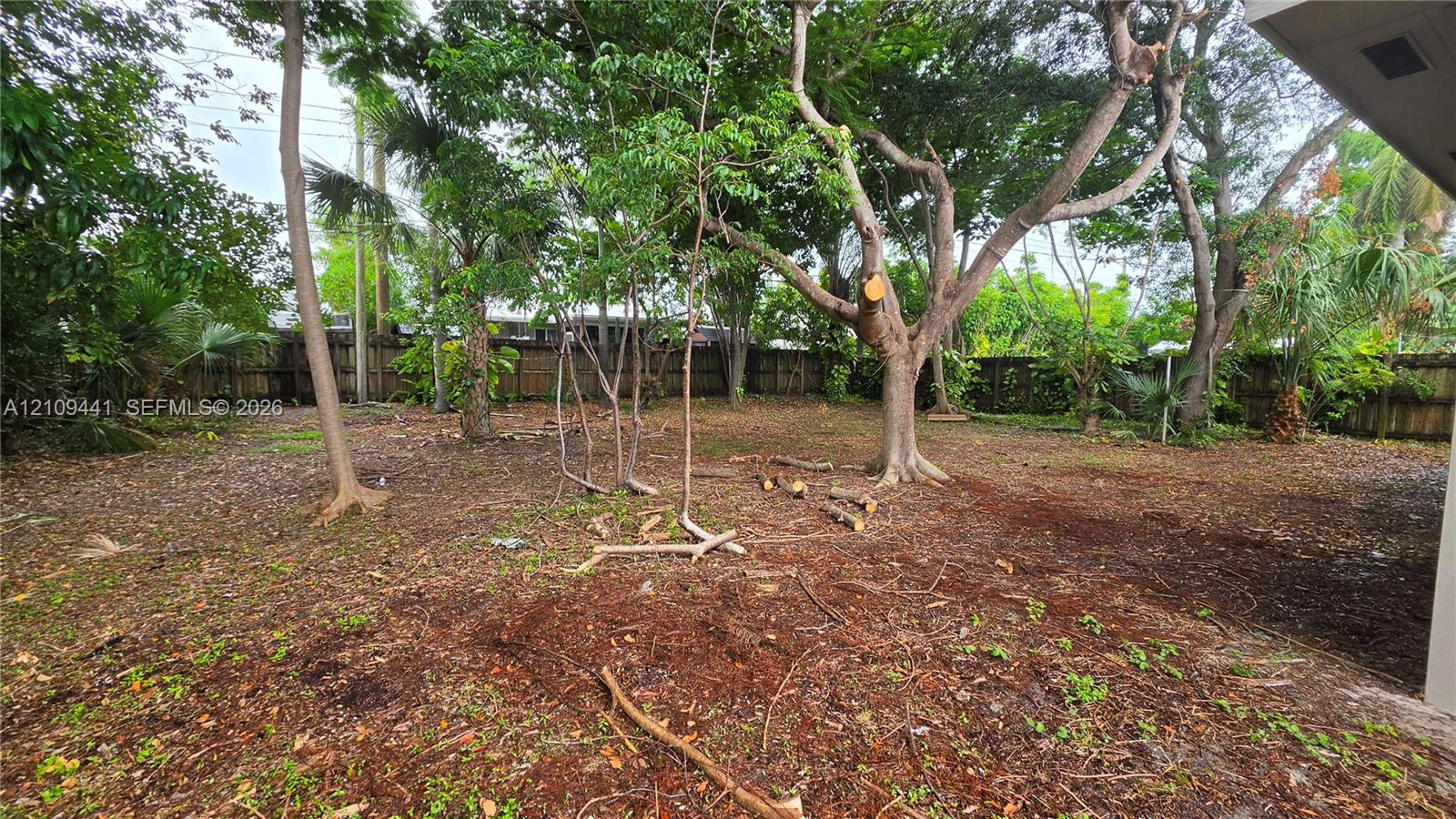 Spacious backyard featuring mature trees, a wood-slat privacy fence, and native ground cover
