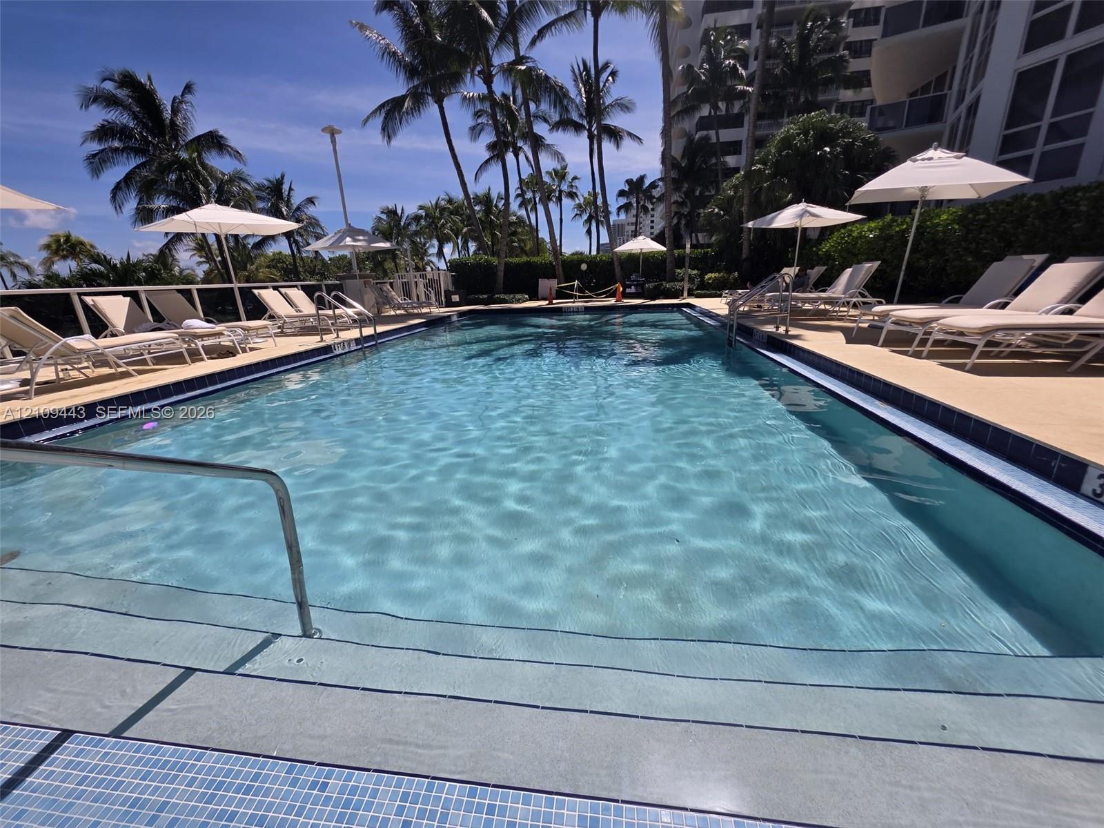 Rectangular swimming pool featuring tiled steps, metal handrails, a paved deck, and mature palm trees