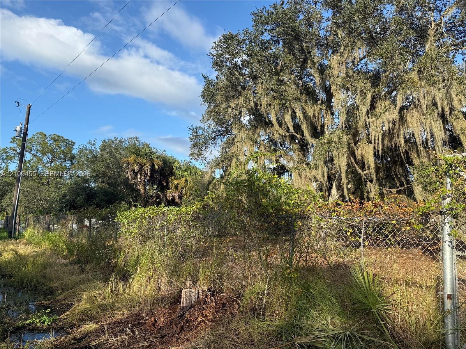 Wooded lot featuring mature oak trees and chain-link perimeter fencing