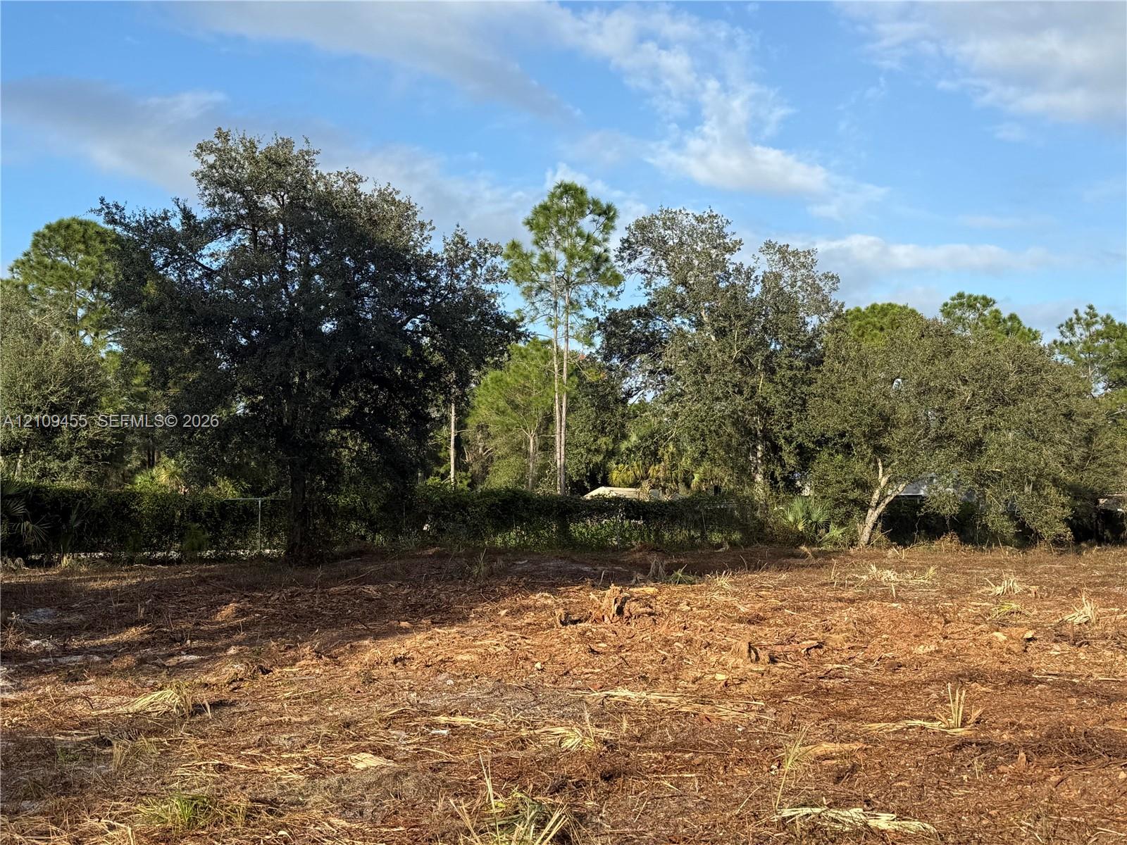 Cleared parcel featuring mature trees, native landscaping, and partial perimeter foliage