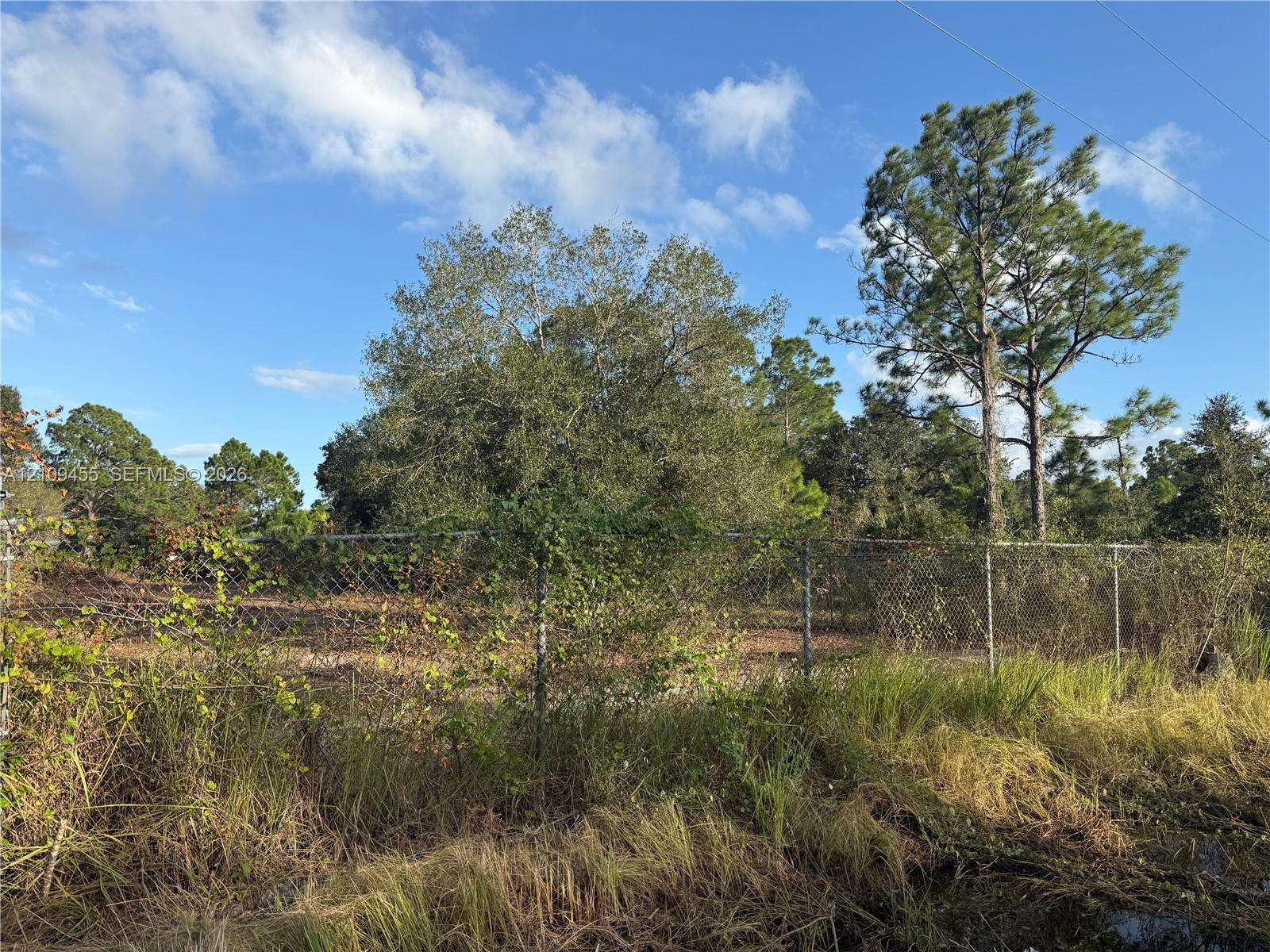 Level parcel featuring mature trees, native vegetation, and chain-link perimeter fencing