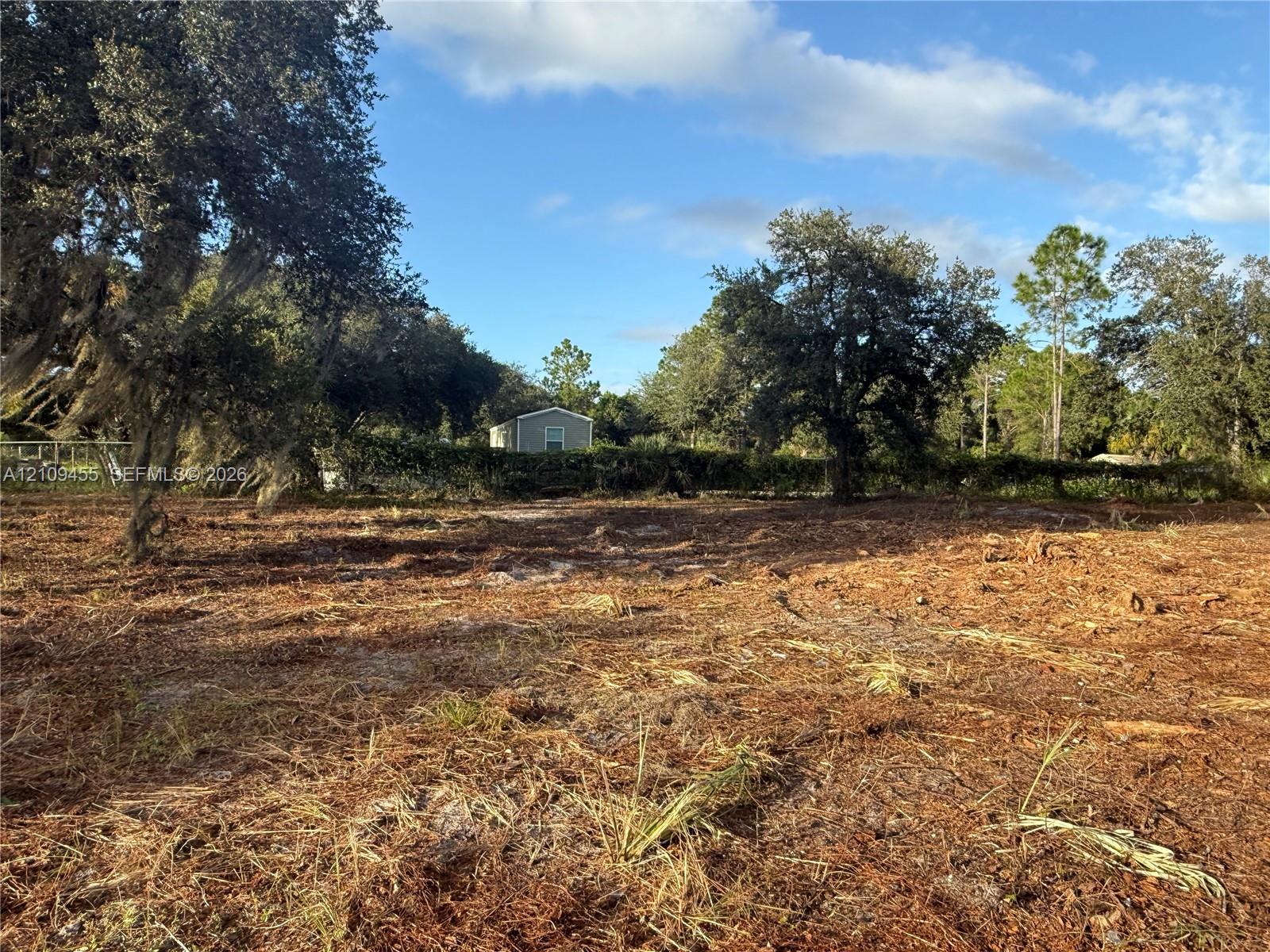 Cleared lot featuring mature hardwood trees and native vegetation