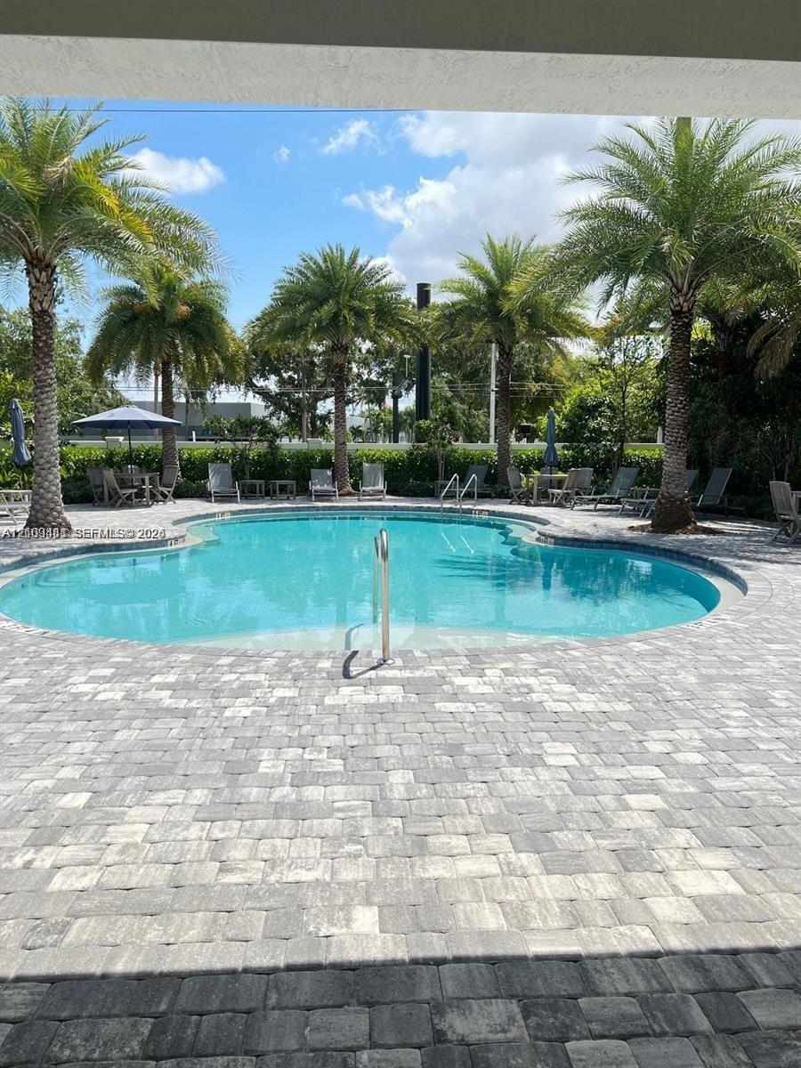 Free-form swimming pool with a metal grab rail, surrounded by concrete paver hardscaping and mature palm trees