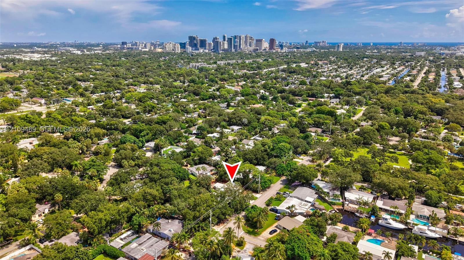 Aerial perspective featuring mature tree canopy, dense residential landscaping, and a distant cityscape skyline