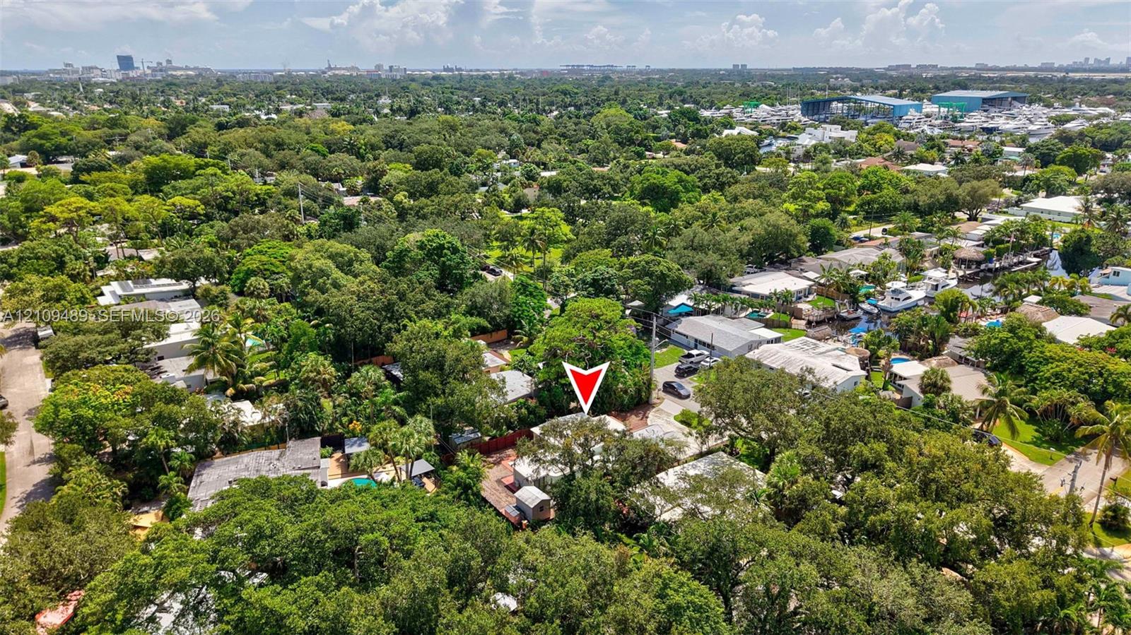Aerial perspective featuring mature tree canopy, dense residential greenery, and proximity to coastal waterways