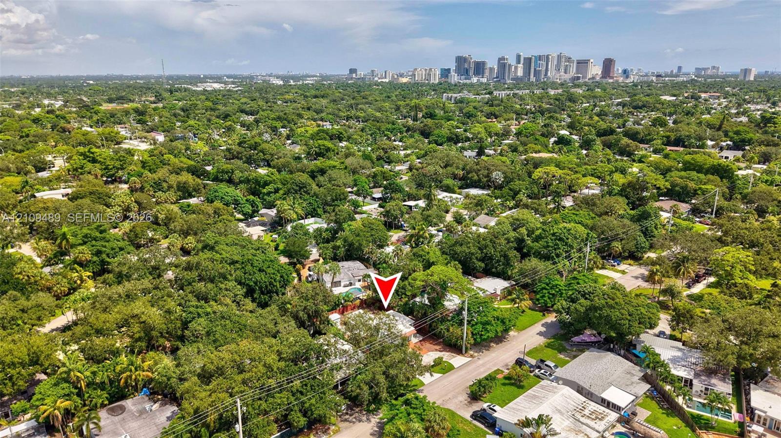 Aerial perspective featuring mature trees, a dense canopy, and an urban skyline backdrop