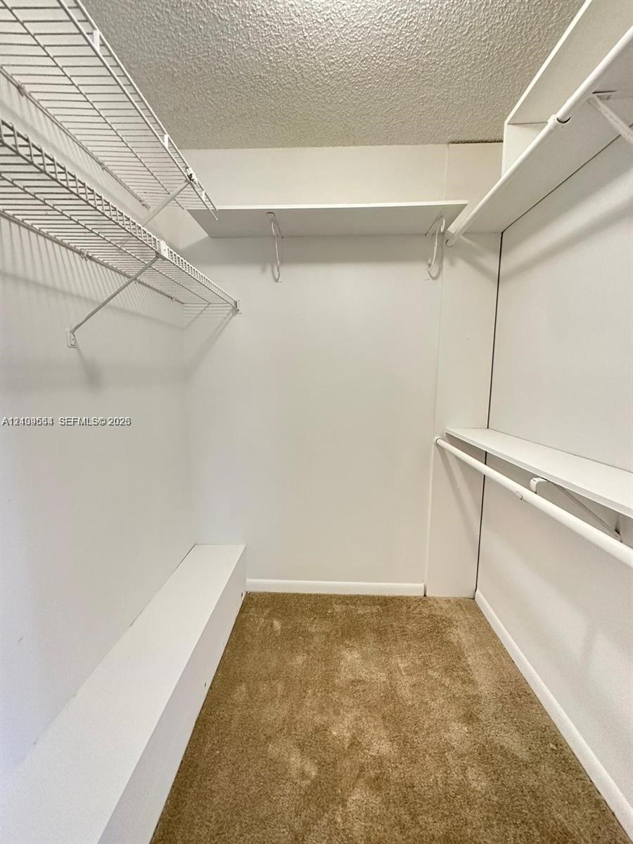 Walk-in storage space featuring neutral carpeting and built-in tiered wire and solid shelving